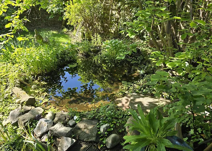 Apartment Gemütliche Doppelhaushälfte Mit Garten *